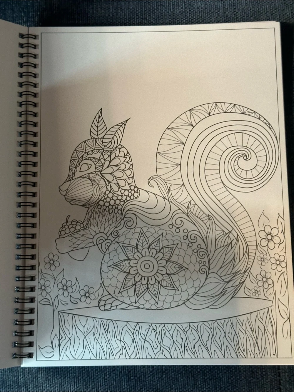 Kalysky Adult Coloring Books Set of 3 spiral bound Coloring Books. PRICE FIRM